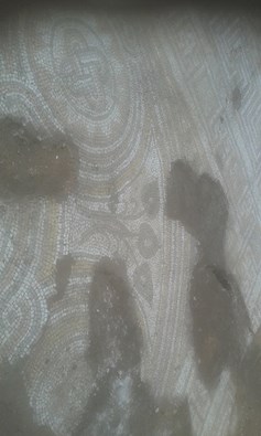 13138940_1707708766146038_5804073063096985999_n